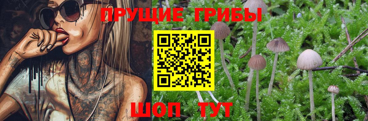 Галлюциногенные грибы ЛСД Жигулёвск
